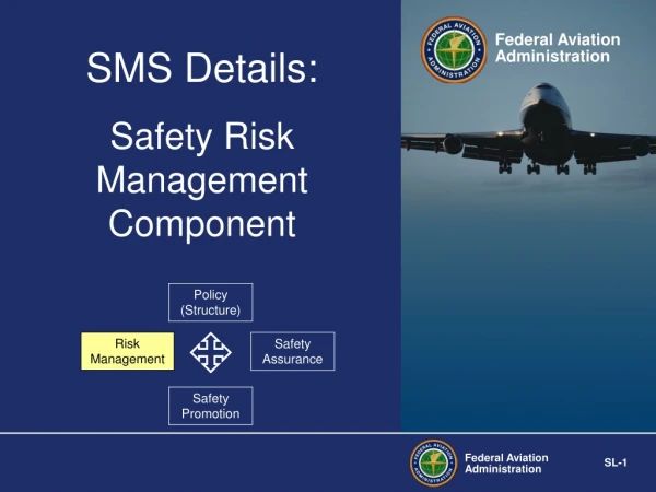 Safety Risk Management Component