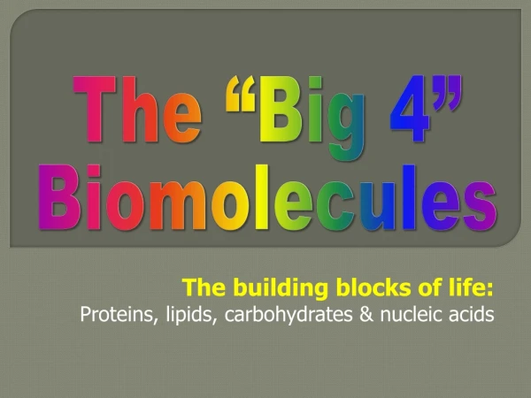 The “Big 4” Biomolecules