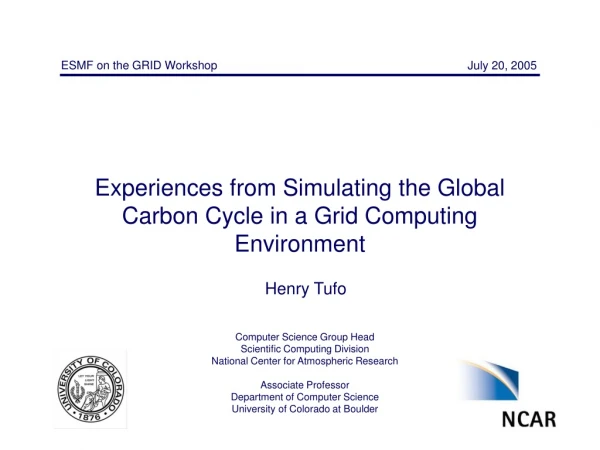 Experiences from Simulating the Global Carbon Cycle in a Grid Computing Environment