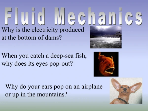 Fluid Mechanics