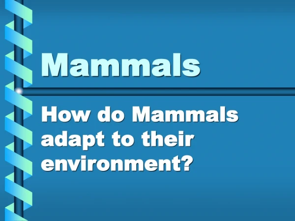 Mammals