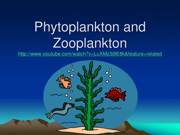 Phytoplankton and Zooplankton youtube/watch?v=LuXMz3j9E8k&amp;feature=related