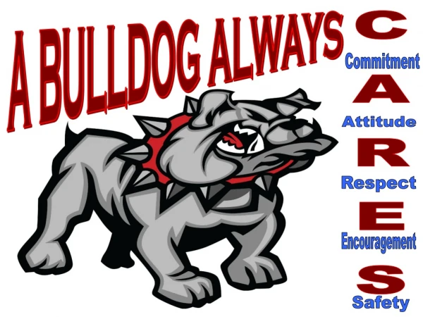 A BULLDOG ALWAYS