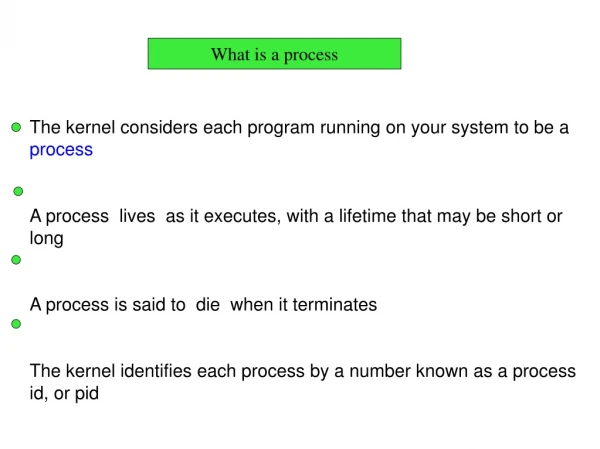 The kernel considers each program running on your system to be a  process