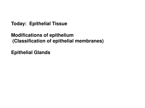 Today:  Epithelial Tissue Modifications of epithelium  (Classification of epithelial membranes)