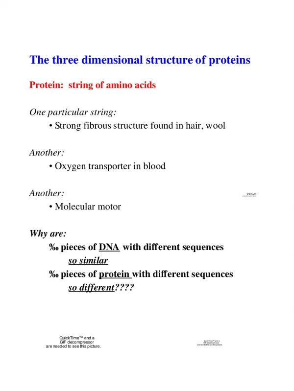 3-Dimensional Structure of Proteins