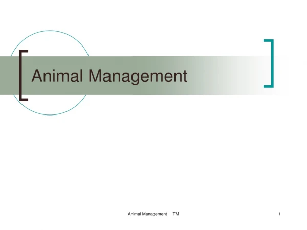 Animal Management