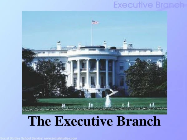 The Executive Branch