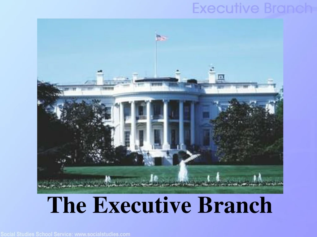 the executive branch