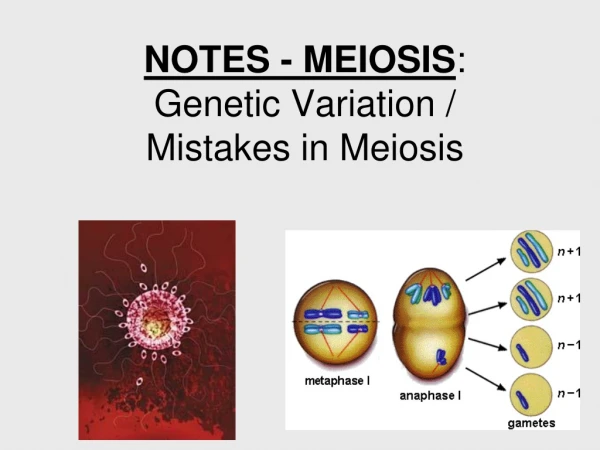 NOTES - MEIOSIS :   Genetic Variation /  Mistakes in Meiosis