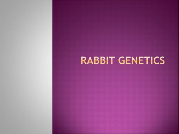 Rabbit Genetics