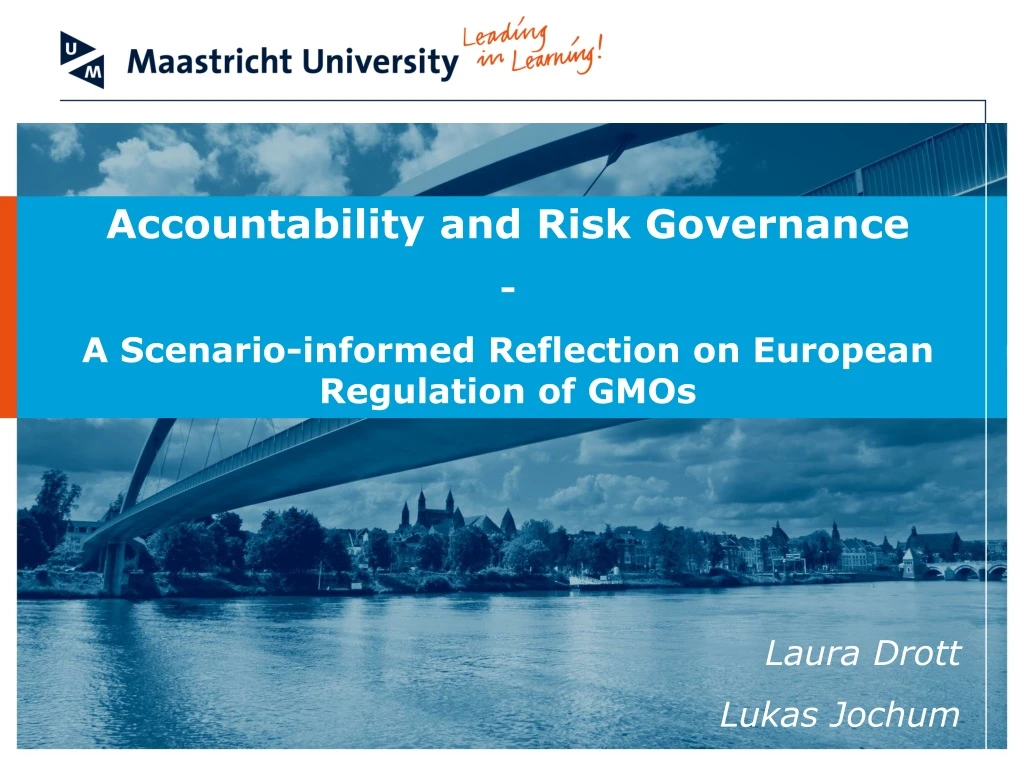 accountability and risk governance a scenario