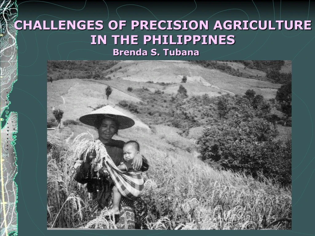 challenges of precision agriculture