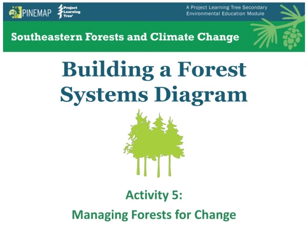 Building a Forest Systems Diagram