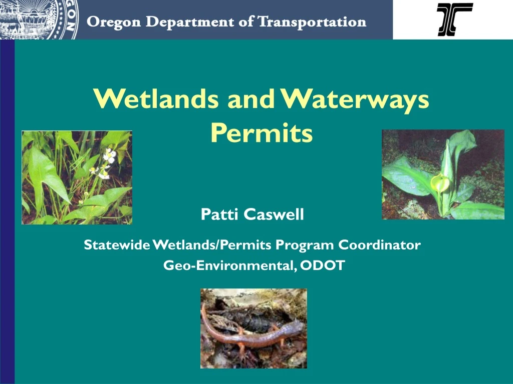 patti caswell statewide wetlands permits program coordinator geo environmental odot