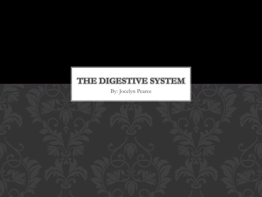 the digestive system