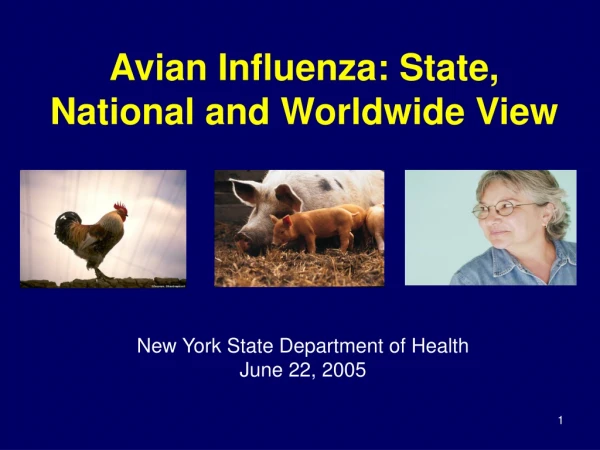 Avian Influenza: State, National and Worldwide View