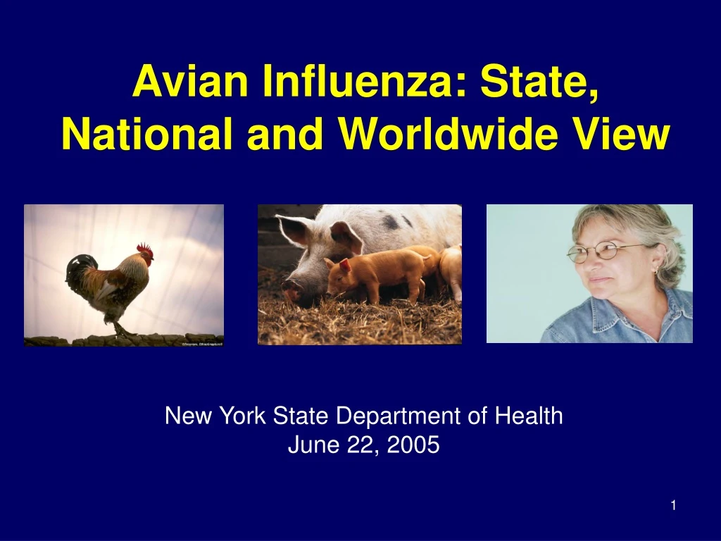 avian influenza state national and worldwide view