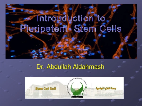 Introuduction to Pluripotent  Stem Cells