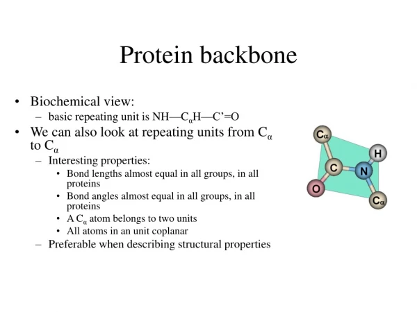 Protein backbone