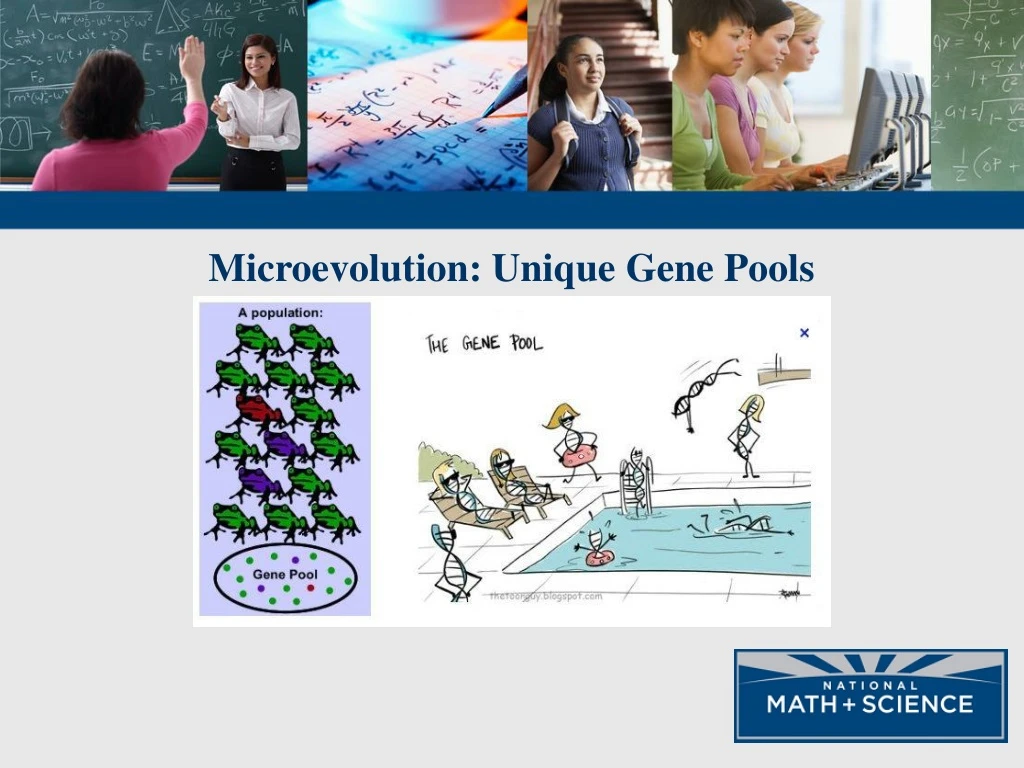 microevolution unique gene pools