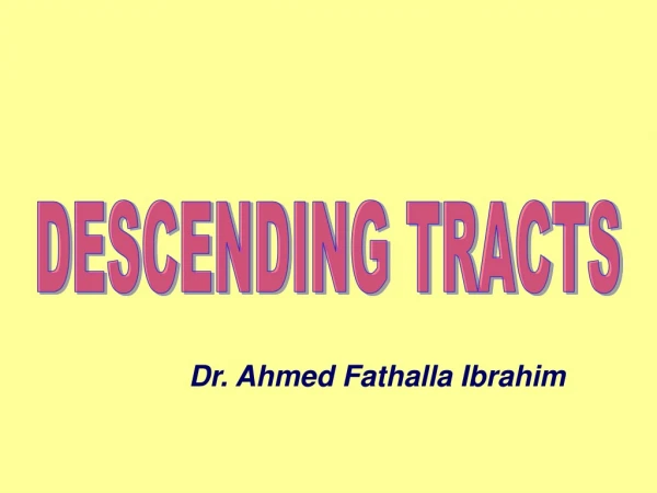 DESCENDING TRACTS