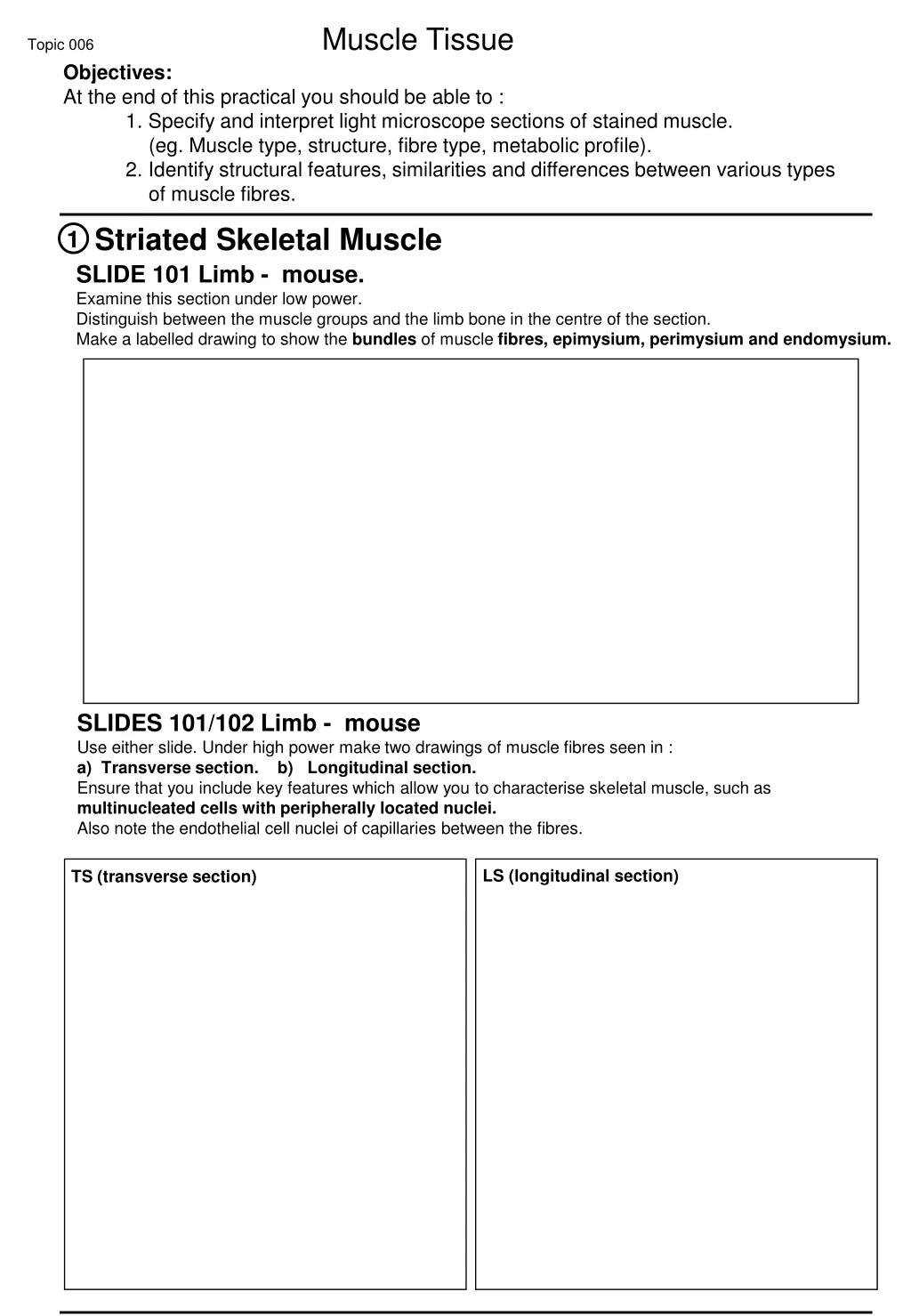 topic 006 muscle tissue