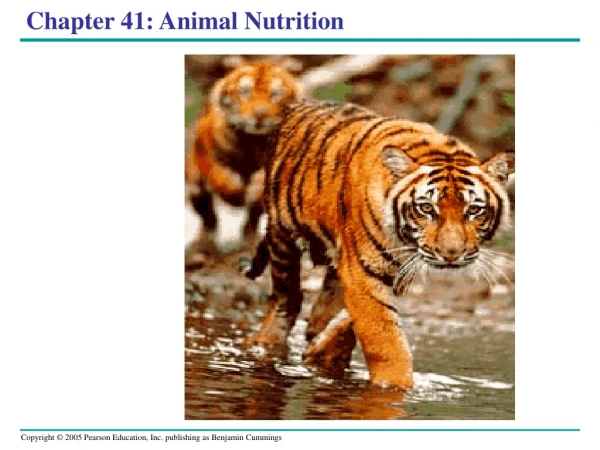 Chapter 41: Animal Nutrition