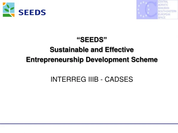 “SEEDS” Sustainable and Effective  Entrepreneurship Development Scheme INTERREG IIIB - CADSES