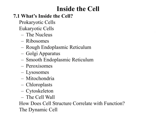 Inside the Cell 7.1 What’s Inside the Cell? 	Prokaryotic Cells 	Eukaryotic Cells The Nucleus