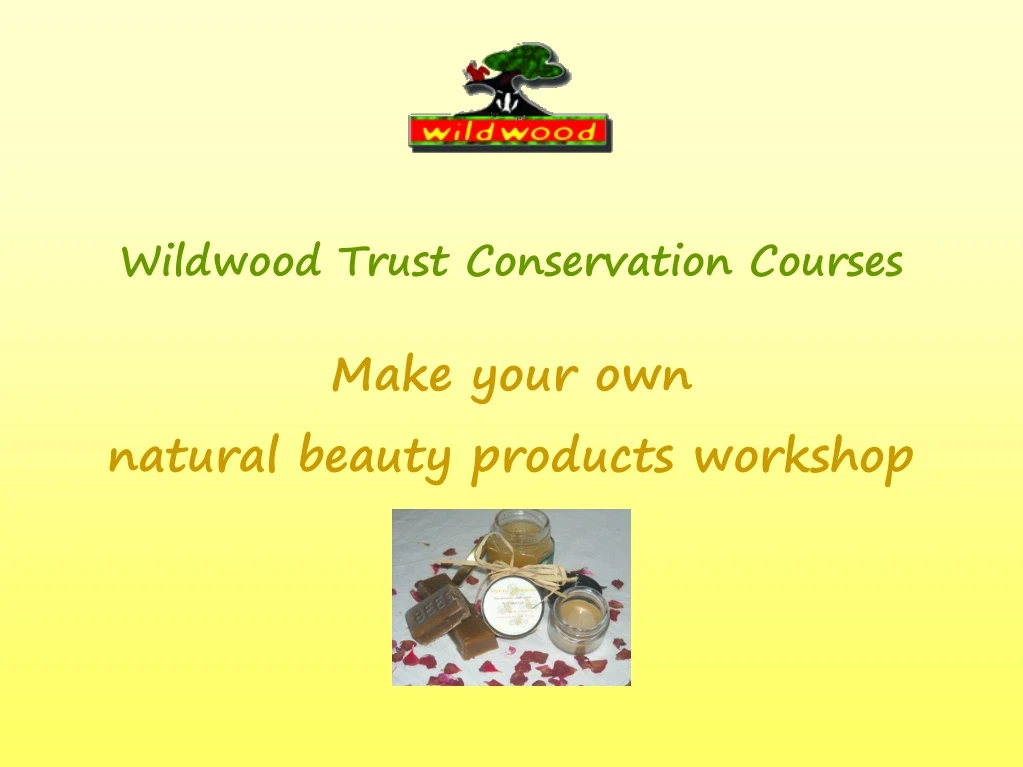 wildwood trust conservation courses make your