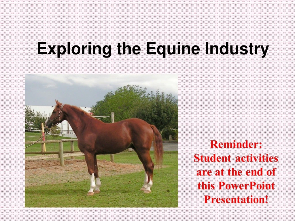 exploring the equine industry