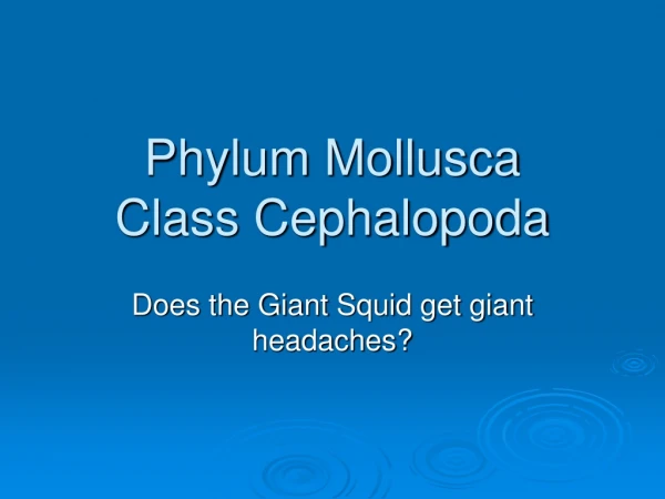 Phylum Mollusca Class Cephalopoda