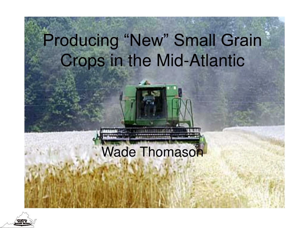 producing new small grain crops in the mid atlantic