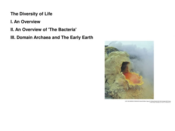 The Diversity of Life I. An Overview II. An Overview of 'The Bacteria'