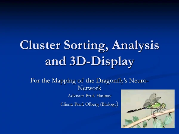 Cluster Sorting, Analysis and 3D-Display