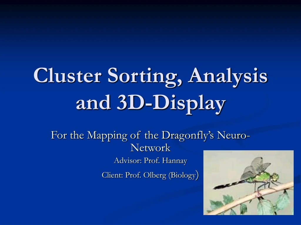 cluster sorting analysis and 3d display