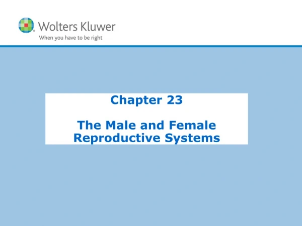 Chapter 23 The Male and Female Reproductive Systems