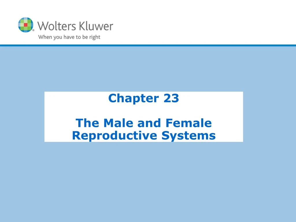 chapter 23 the male and female reproductive