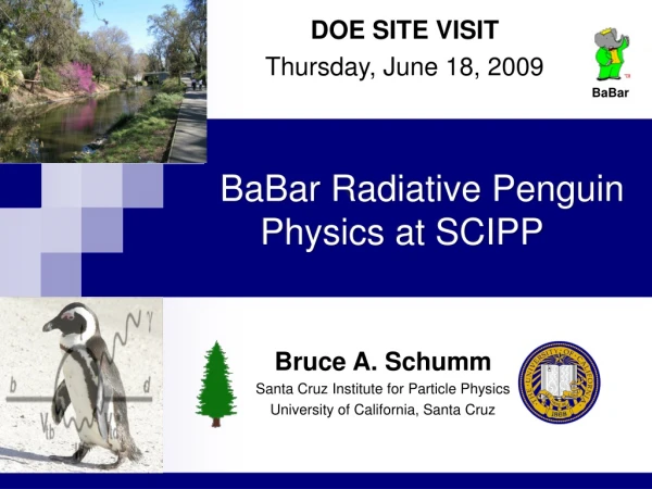 BaBar Radiative Penguin Physics at SCIPP