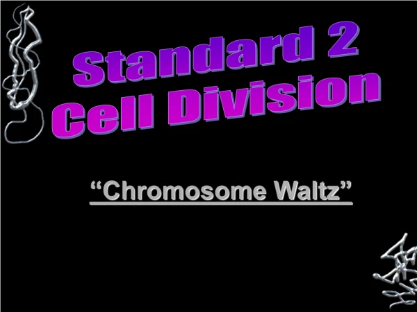 “ Chromosome Waltz”