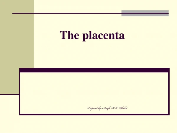 The placenta