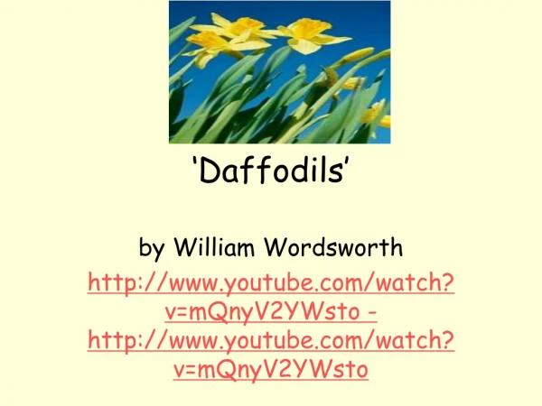 ‘ Daffodils ’