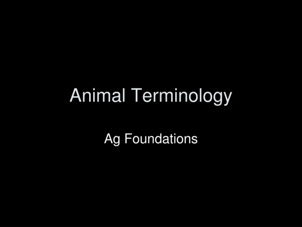 Animal Terminology