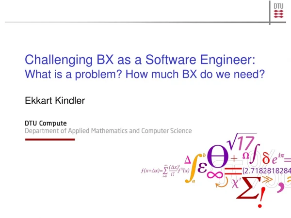 Challenging BX as a Software Engineer: What  is  a problem? How much BX do we need?