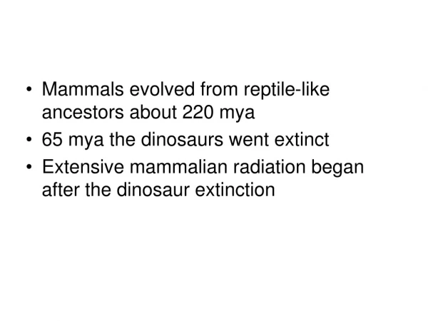 Mammals evolved from reptile-like ancestors about 220 mya  65 mya the dinosaurs went extinct