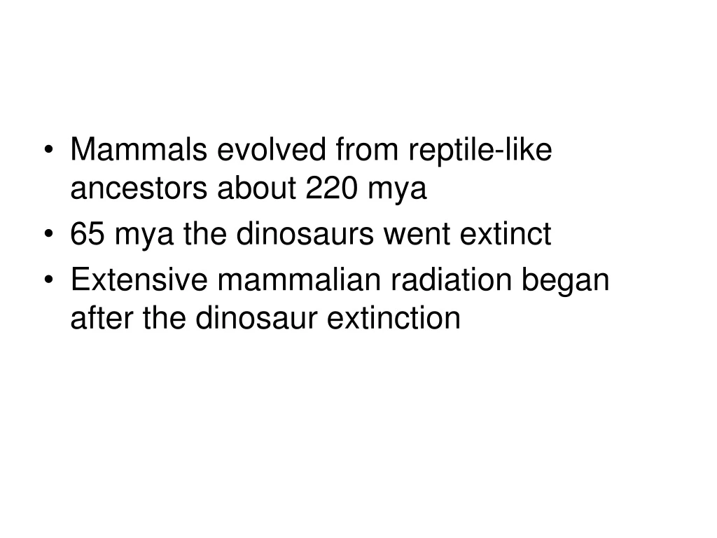 mammals evolved from reptile like ancestors about