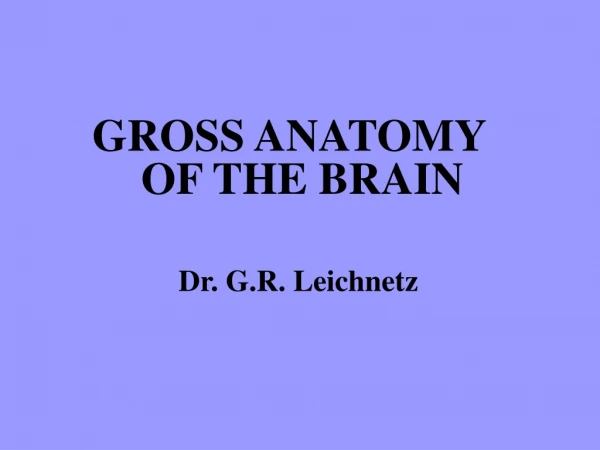 GROSS ANATOMY   	OF THE BRAIN Dr. G.R. Leichnetz