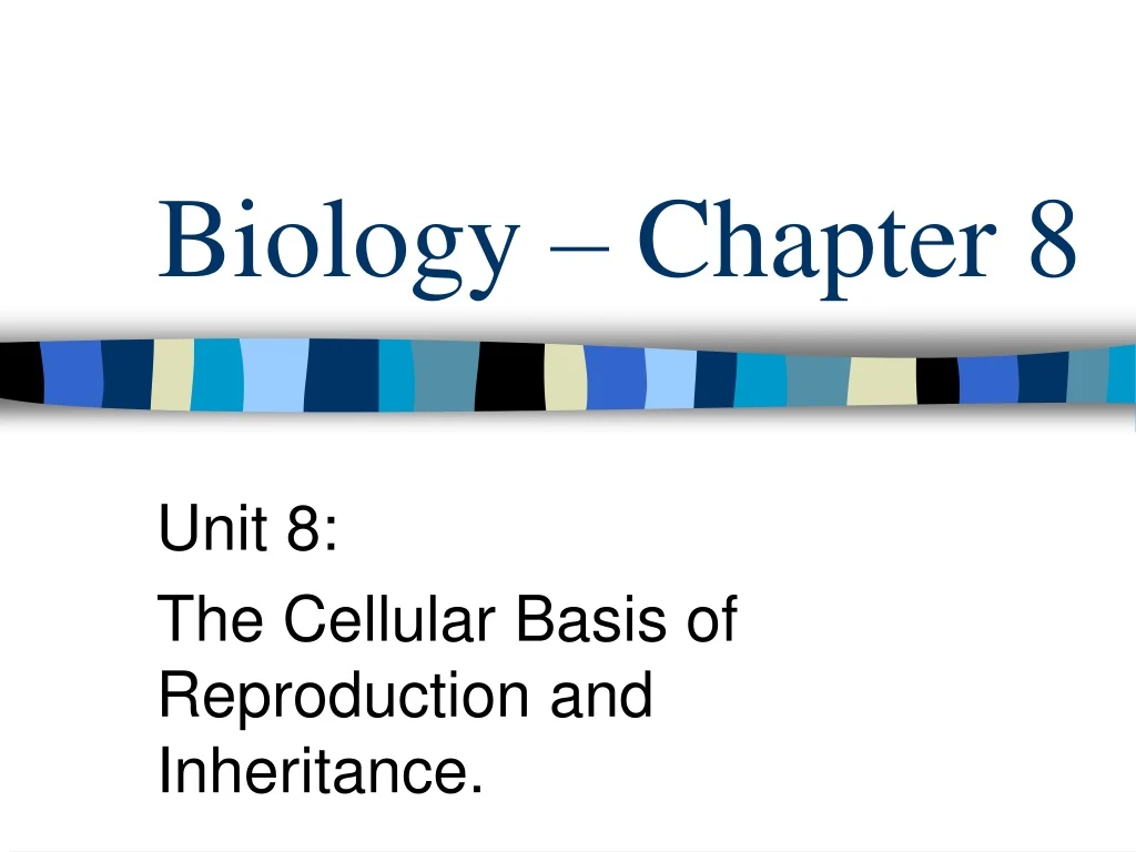 biology chapter 8
