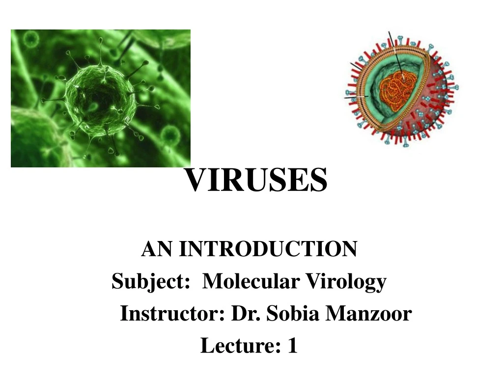 viruses